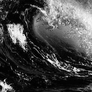 Meet your Posher, Nicolas